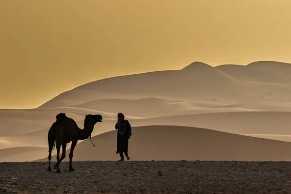 Shepard and Camel having a deep conversation! thumbnail