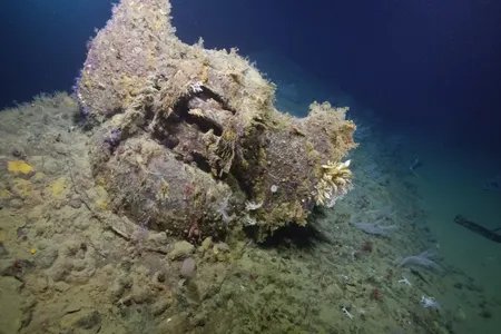 The structure and stamps on the base of the anchor helped researchers confirm the bow belonged to the USS New Orleans. The words &quot;Navy Yard&quot; are still visible through the marine growth.