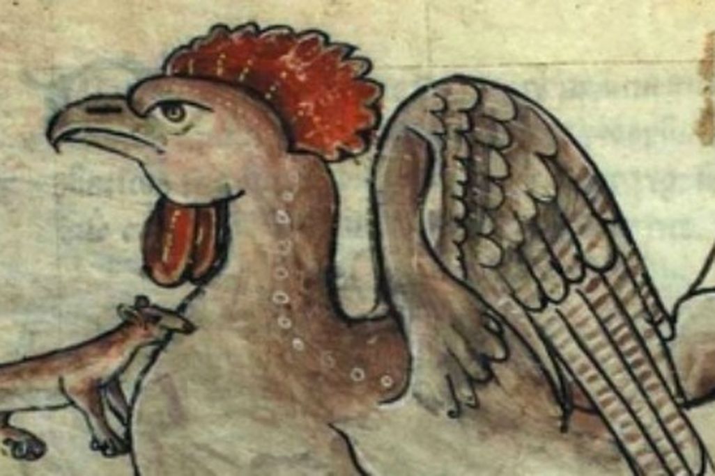 A basilisk