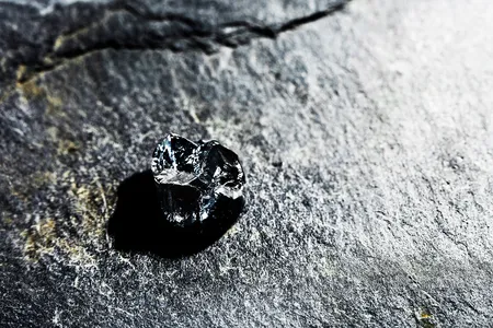 This fossilized Buronius tooth is roughly a third of an inch long.