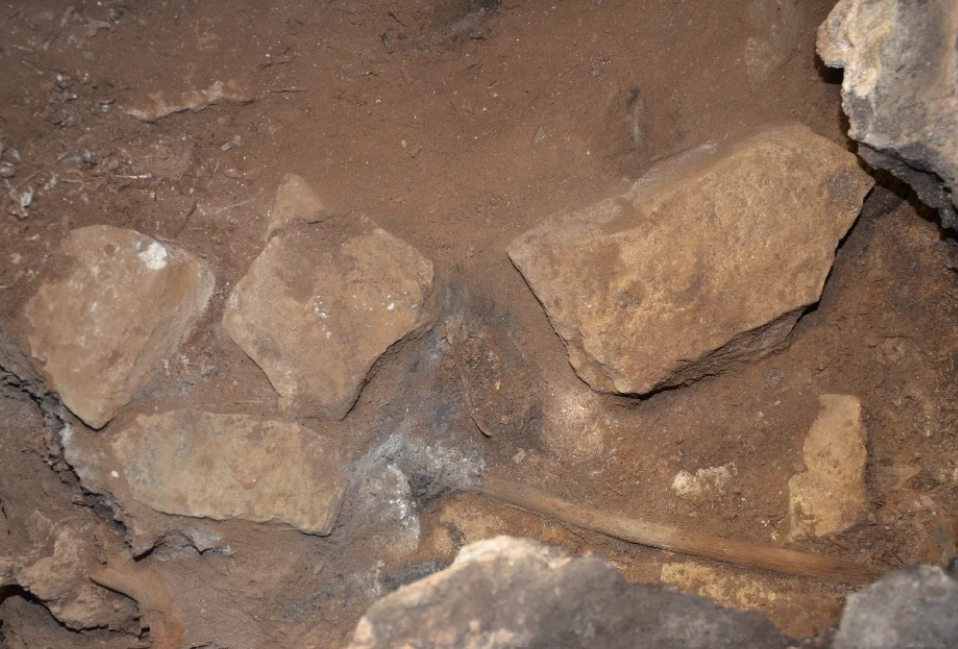 overhead view of sticks in dirt with rocks around them