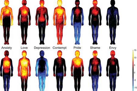 Bodily maps of emotion developed by the researchers.