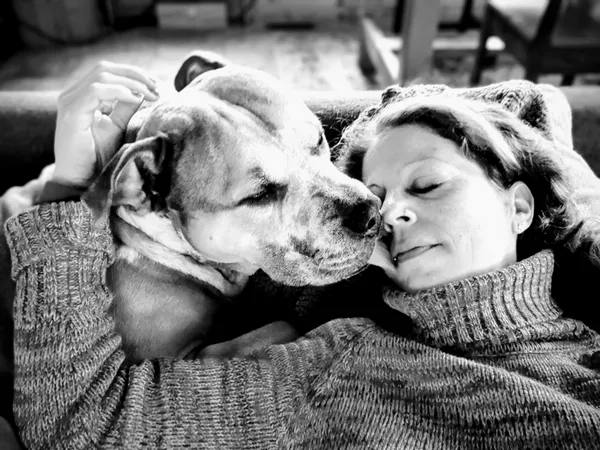 Faithful companion thumbnail