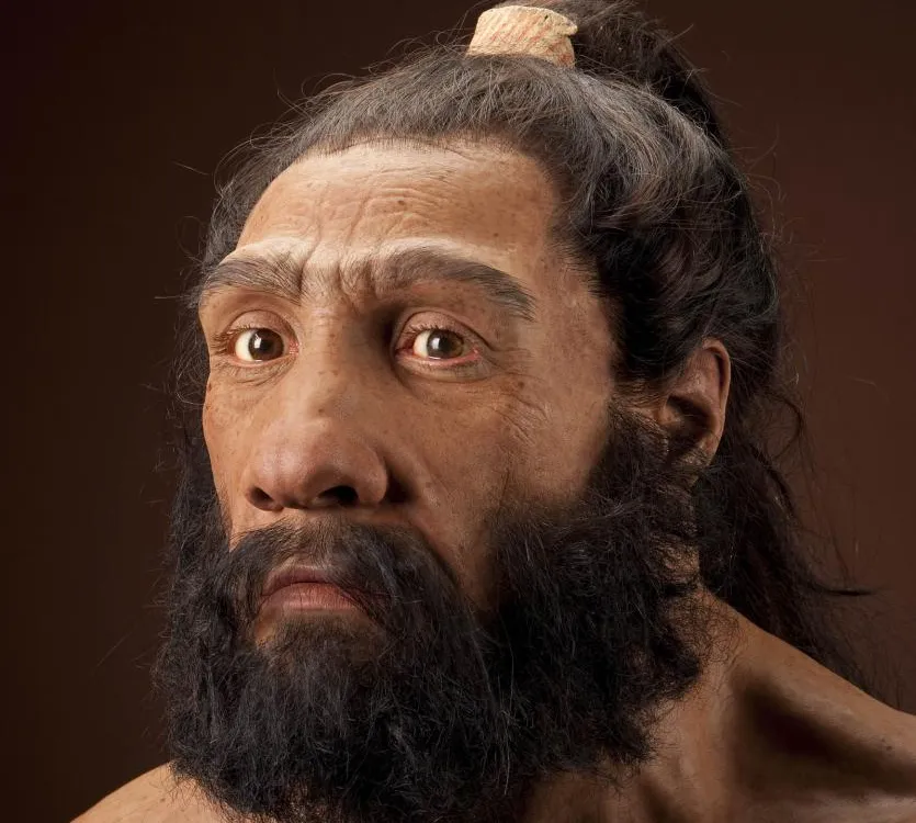 neanderthalensis_JG_Recon_Head_CC_3qtr_lt_sq.jpg