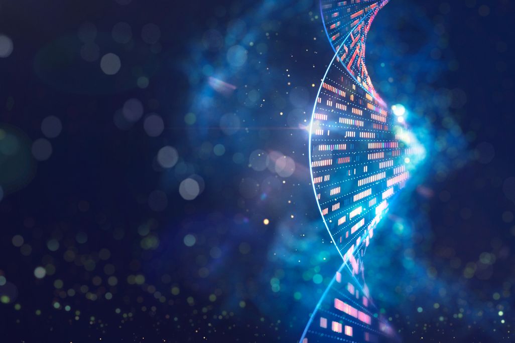 illustration of DNA