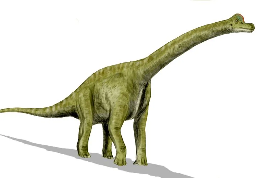 A green brachiosaurus is pictured
