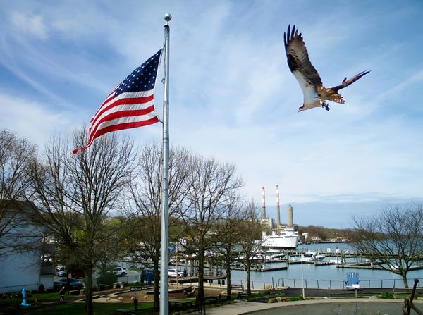 Port Jefferson Harbor thumbnail