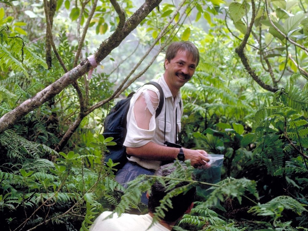 A man wearing a ripped white shirt stands among thick greenery, holding a plastic sample bag