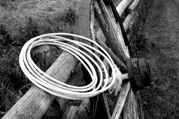 Rope at rest on the ranch thumbnail