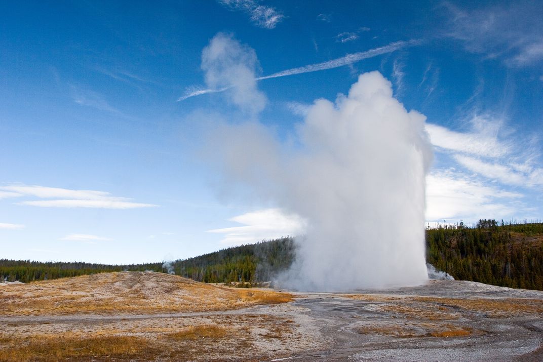 One of many Yellowstone geysers