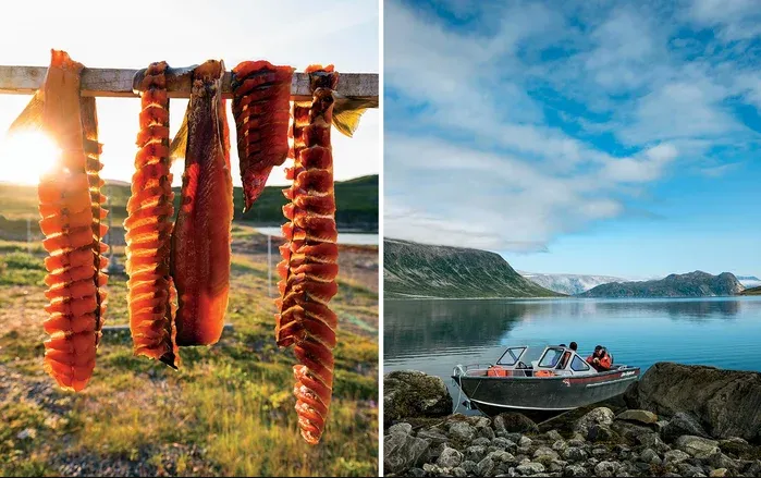 Arctic char drying