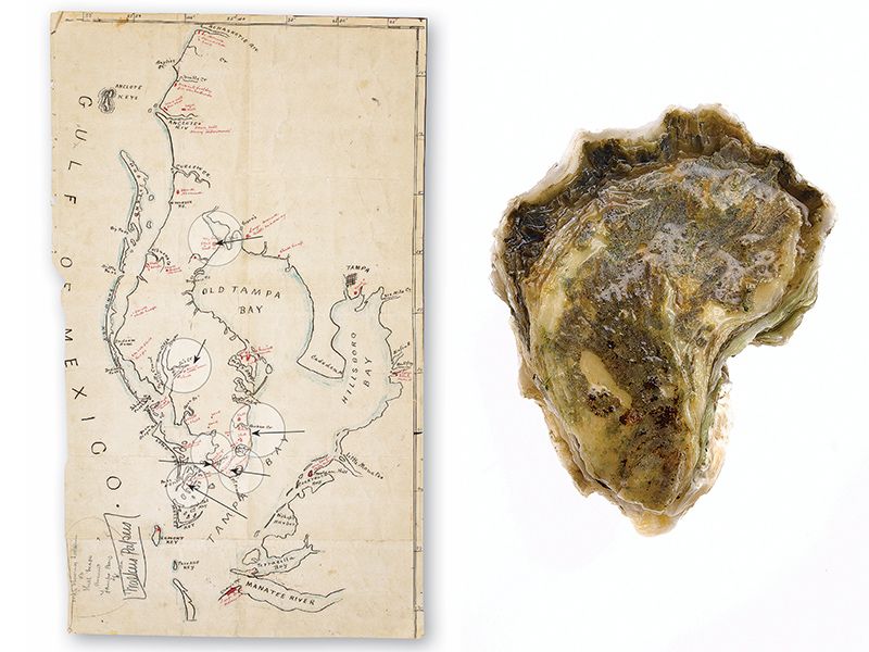 left, map of Tampa region, and right, a shard of pottery