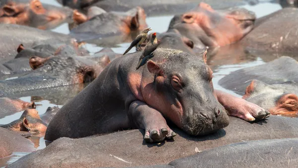 Calm atmosphere thumbnail