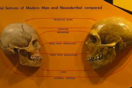 These two skulls are having a moment – but how often did they get together in real life?