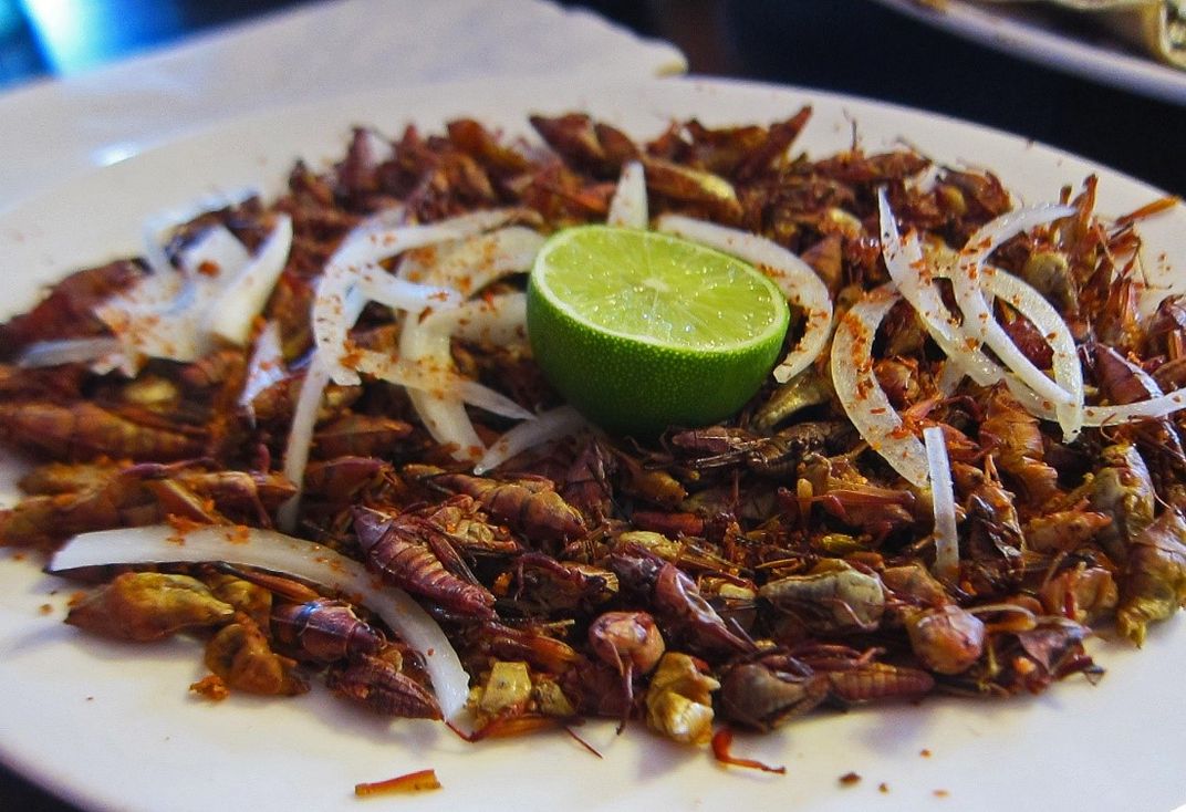 Plate of prepared grasshoppers with white onion and a lime wedge