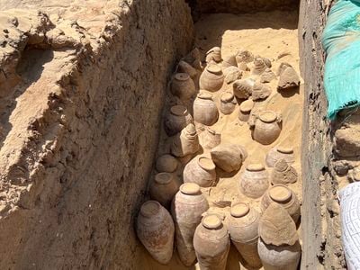 5000-year-old wine jars at the tomb of Queen Meret-Neith, some of which are still sealed