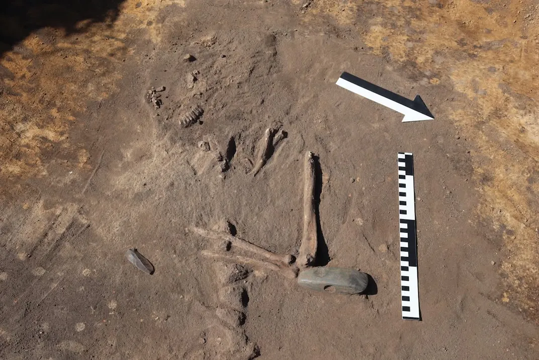 An ax in an excavated burial site