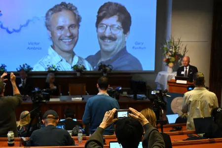 The Nobel Prize in Physiology or Medicine was awarded&nbsp;to Victor Ambros and Gary Ruvkun, who together discovered microRNA.