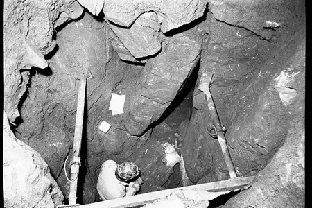 The Charterhouse Warren site in Somerset, England, in 1972. Researchers detected the DNA of plague-causing bacteria in the 4,000-year-old remains of two people found there.