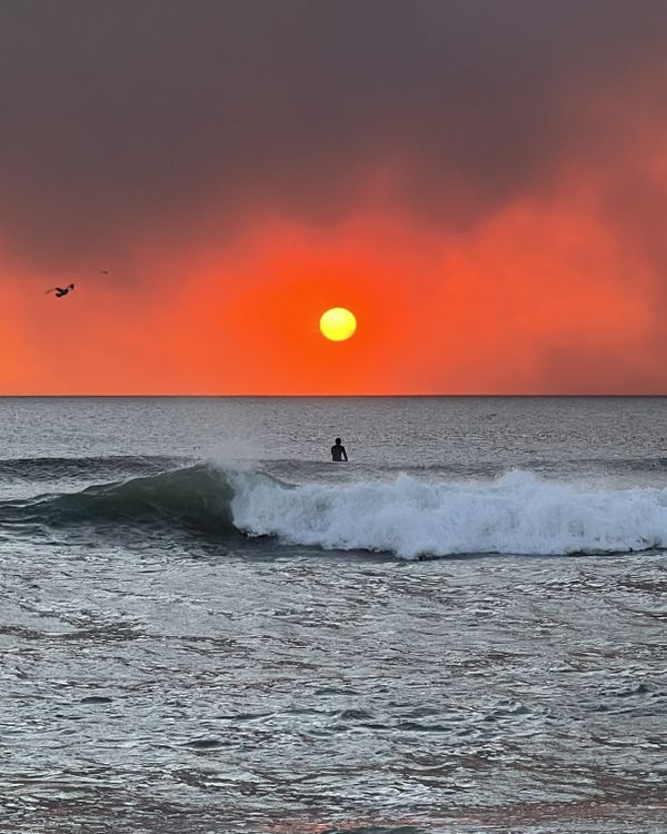 The Disaster Sky and the Surfer thumbnail