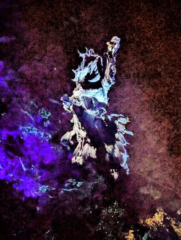 You can never know thumbnail