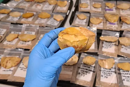 The trove included 60 complete tulas.