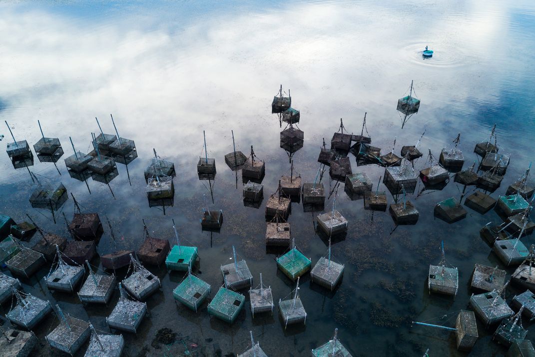 Lobster cages were run aground | Smithsonian Photo Contest