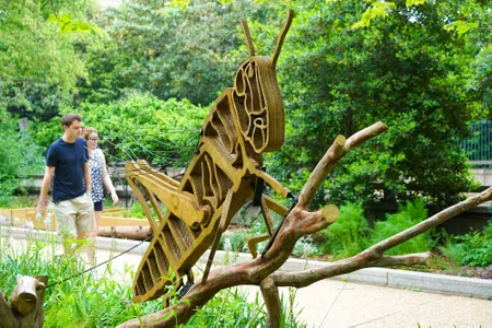 Curious sculptures have popped up throughout the Smithsonian campus in its gardens and are meant to show the inner-workings and relationships of insect and plant habitats.