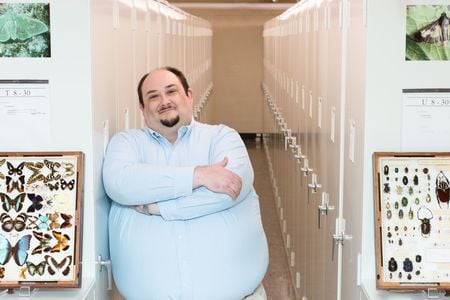 Entomologist and Collections Manager Dr. Floyd Shockley cares for the 35 million specimens in the Entomology Collection at the National Museum of Natural History. He also studies the diversity, natural history and evolution of fungus feeding beetles. (Donald E. Hurlbert, Smithsonian)