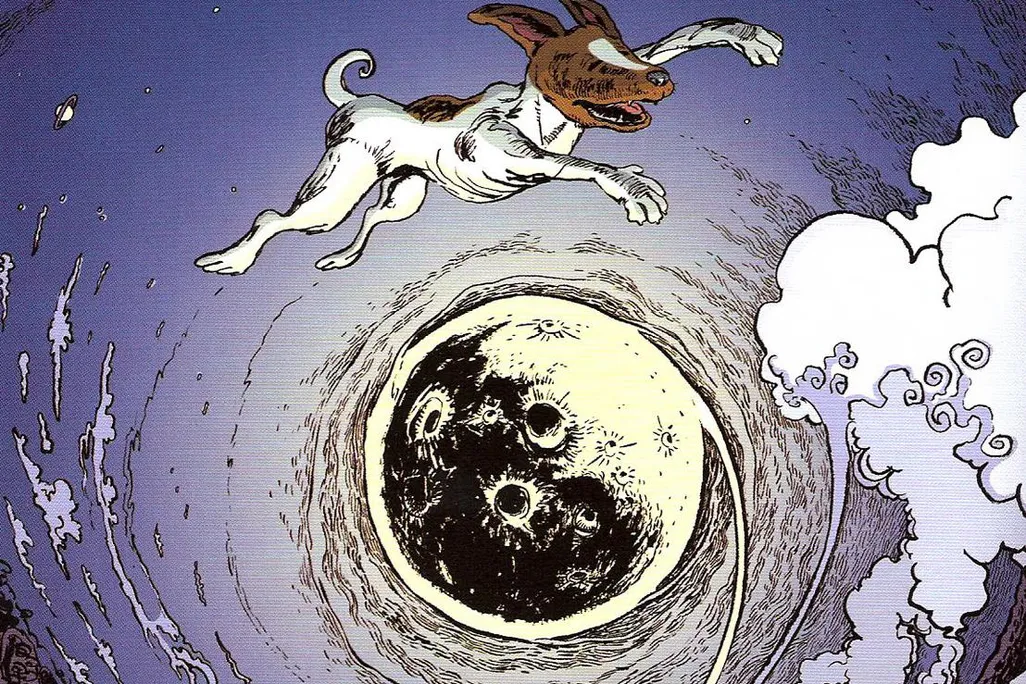 laika 01.jpg