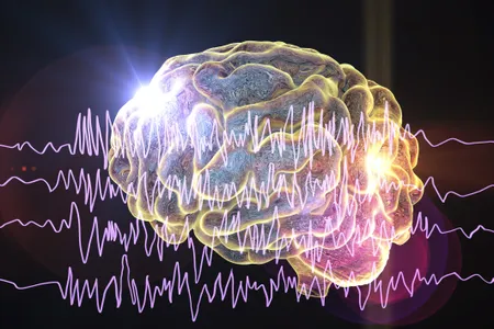 More than&nbsp;50 million&nbsp;people suffer from epilepsy around the world, making it one of the most common and severe neurological disorders globally.