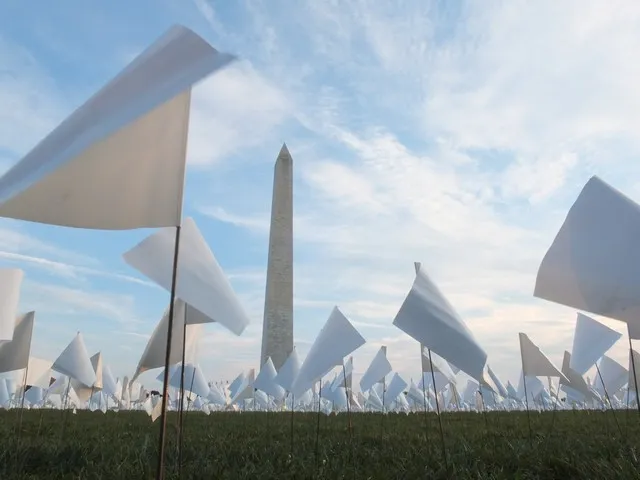 white flags in front of the Washington Monument