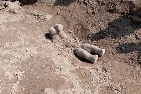Asian elephants were observed burying calves between 3 months and 1 year old that had died after experiencing infections and malnutrition.