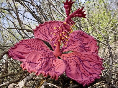 Anatomically Correct Hibiscus; yarn; 2005; 45" x 45" x 32"