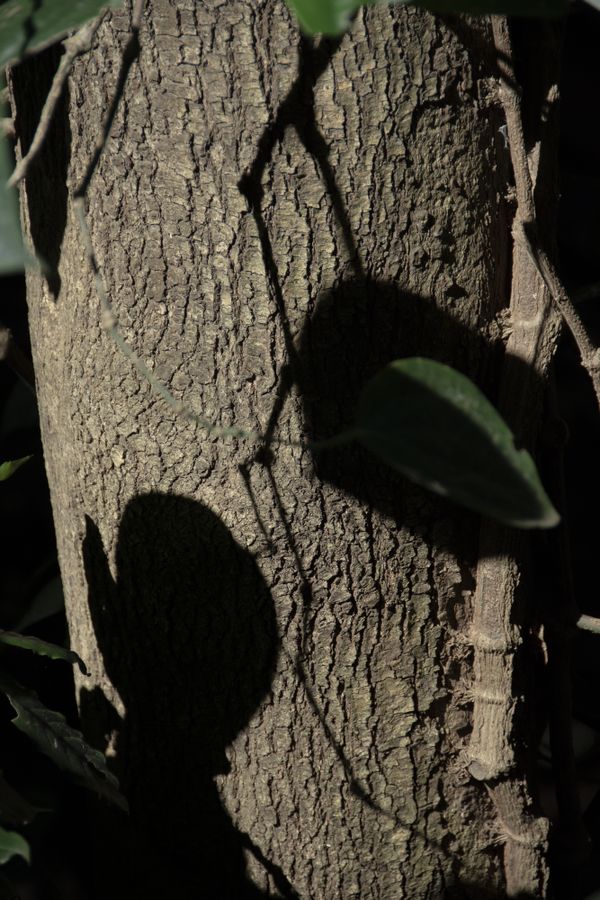 Intimate moment. thumbnail