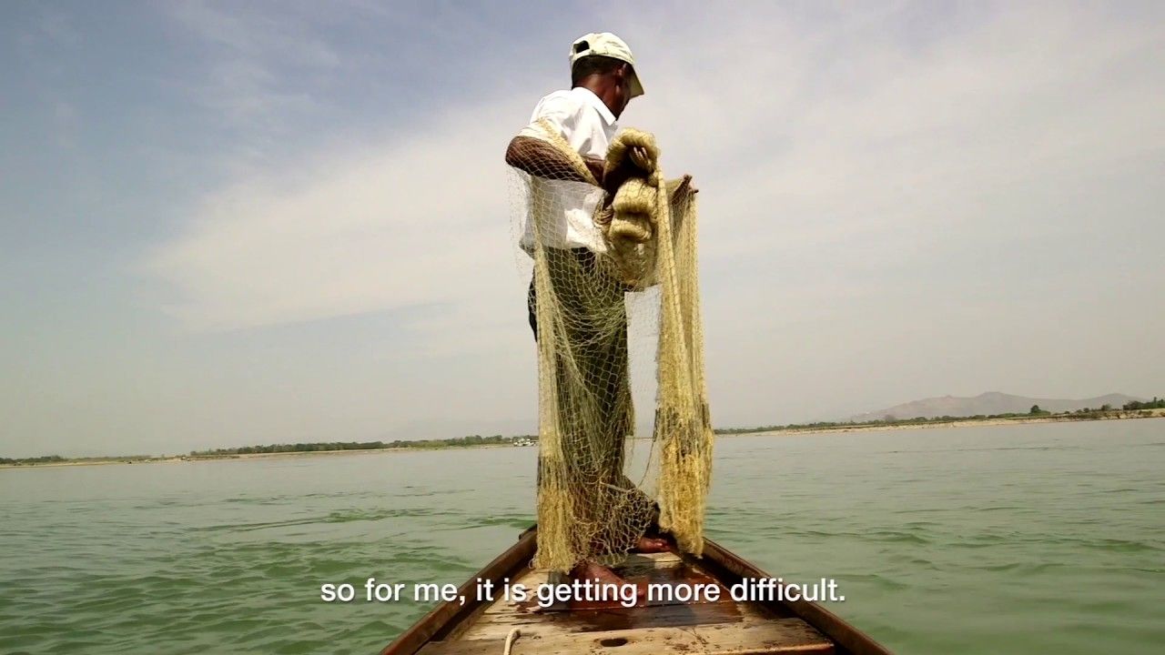Preview thumbnail for Fishing With Irrawaddy Dolphins