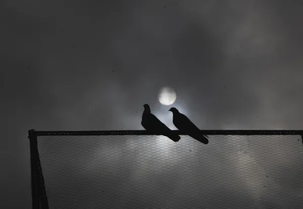 Love, moon, and rain. thumbnail