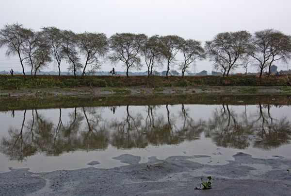 REFLECTION thumbnail