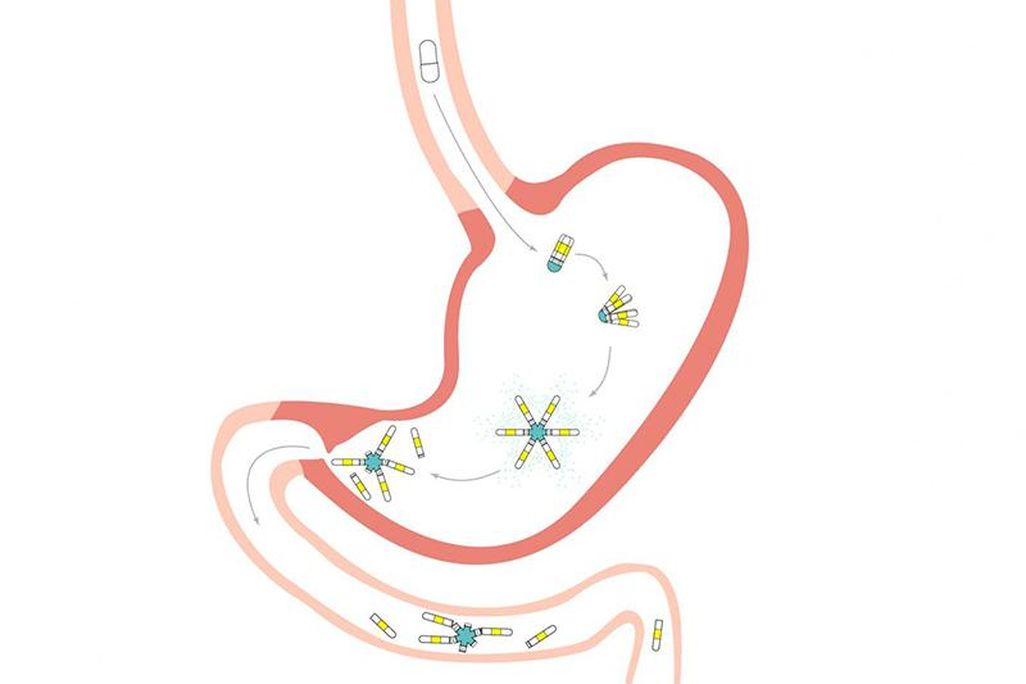 Diagram of pill release