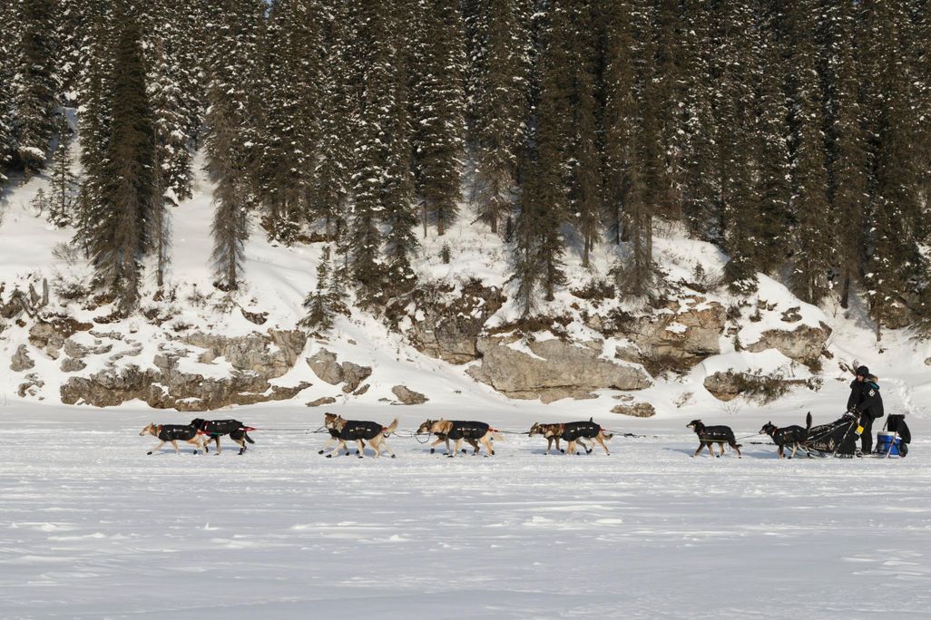 Iditarod