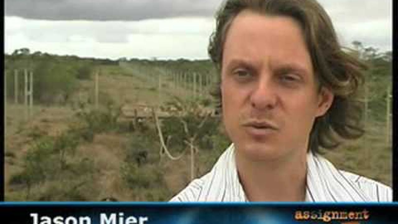 Preview thumbnail for African Ape Smuggling