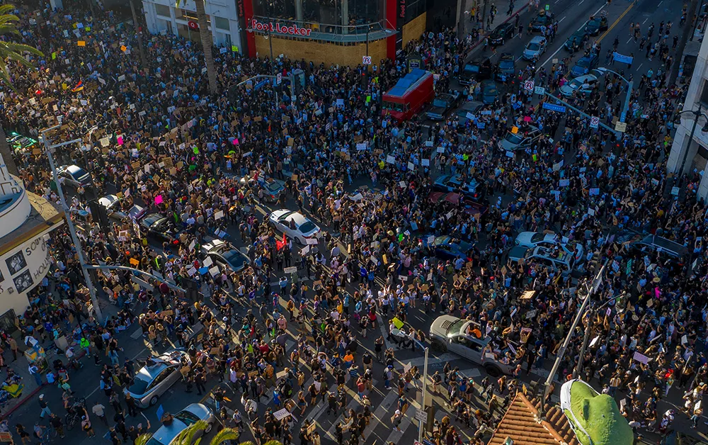 Black Lives Matter protesters in LA (social)