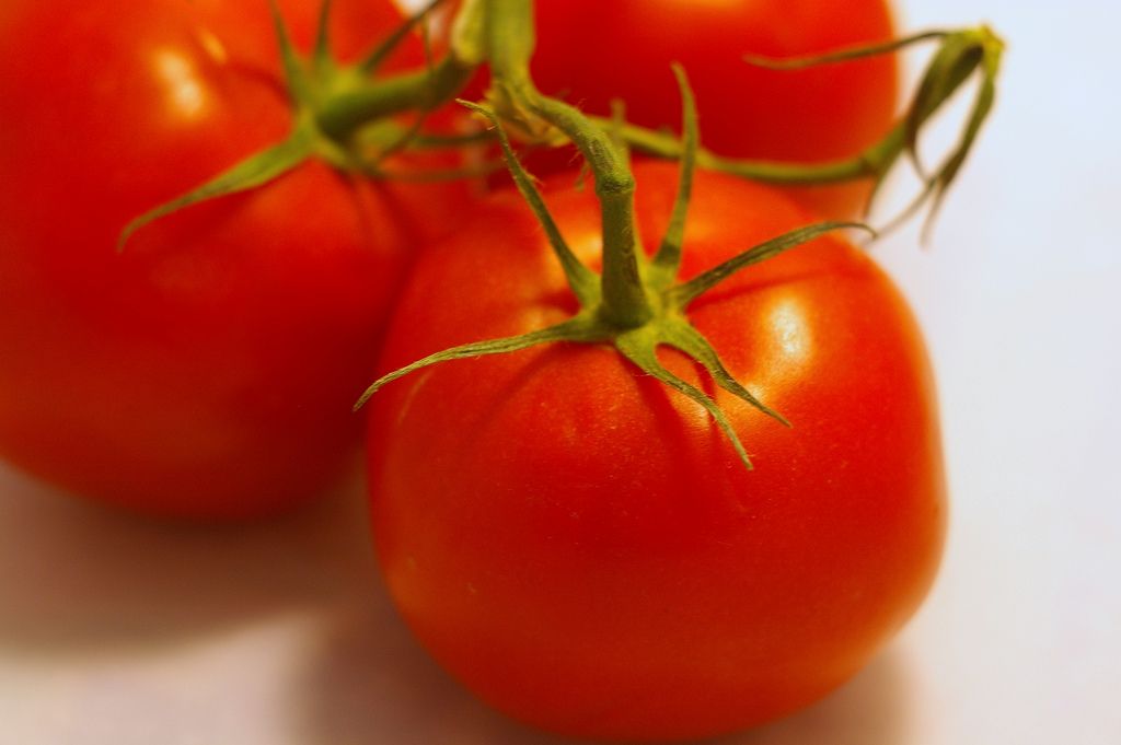2013021910403102_19_2013_tomato.jpg
