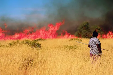 Landscapes have been managed by humans for thousands of years – some sustainably, others less so. The Martu people of Australia burn the grasses in continent’s Western Desert. The practice yields food, but also increases biodiversity in the area.