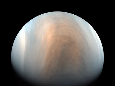 False-color image of Venus taken by Japan's Akatsuki spacecraft in 2018. Is there life in those clouds?
