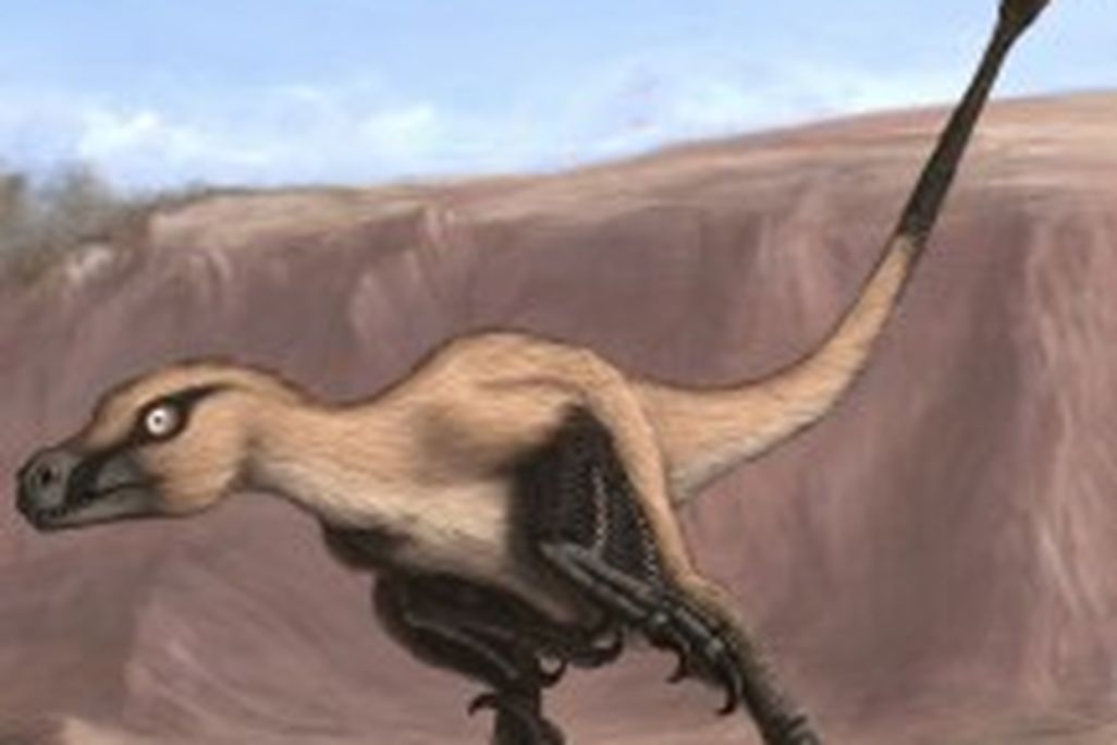 20110520083215Linheraptor_Final-217x300.jpg