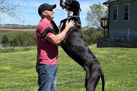 The&nbsp;Wolfe family met Kevin as a puppy, but he grew to be three feet and two inches tall.