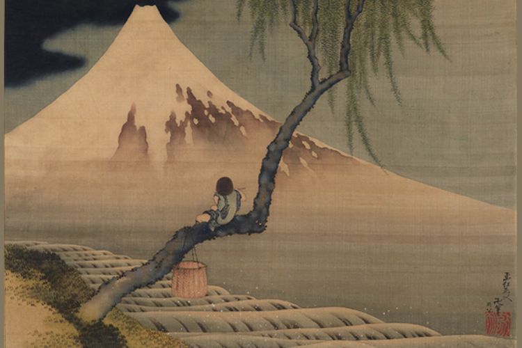 Boy Viewing Mount Fuji mobile