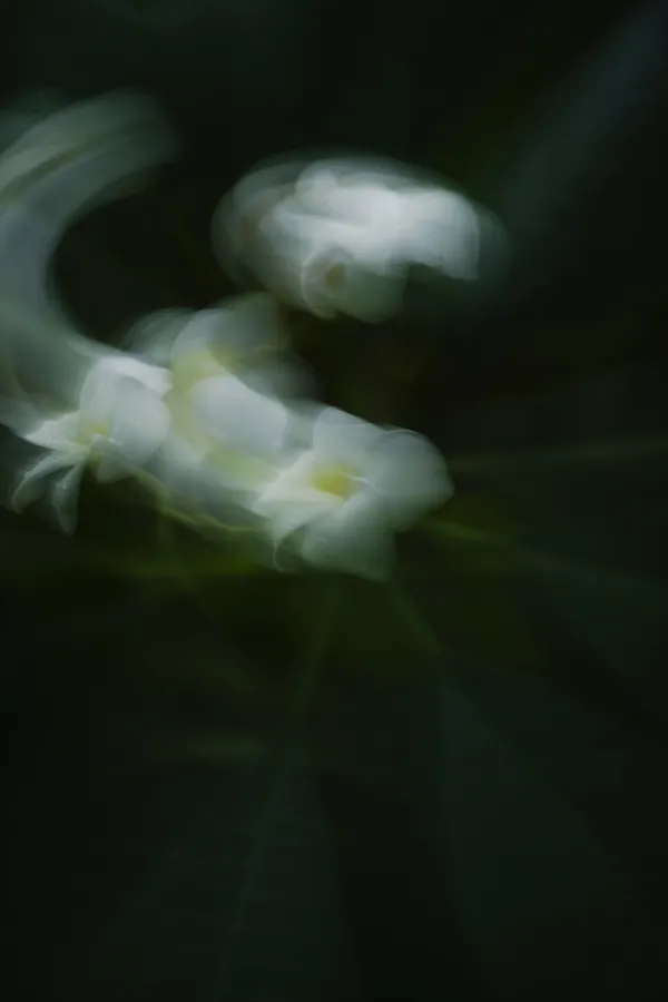 Yumeno-island thumbnail