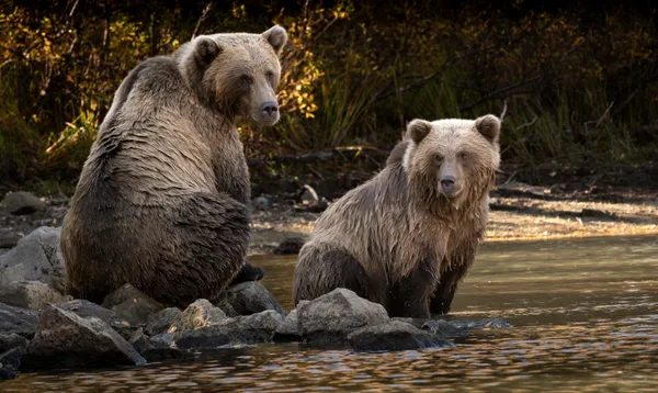 Guardians of Lake Clark thumbnail